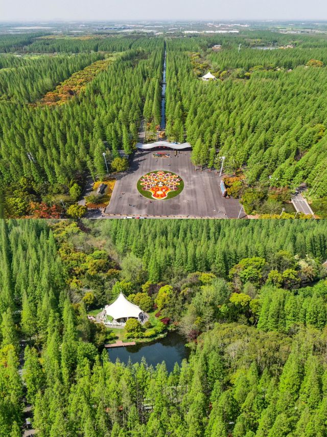 崇明島森林公園旁的民宿