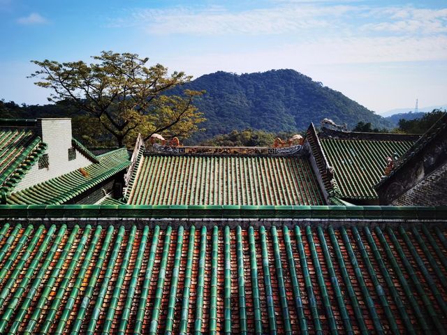 岭南四大名山之首的鼎湖山