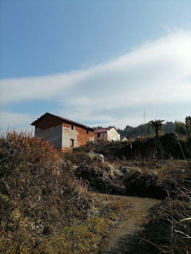 千島湖施家坪古村落｜被遺棄的土房村落丨人少安靜丨免收門票