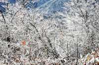 石關雪景