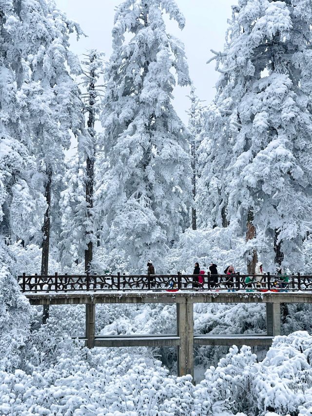 冬日必去瓦屋山現實版雪國童話世界