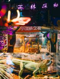春節遛娃，來海世界和白鯨完美邂逅！