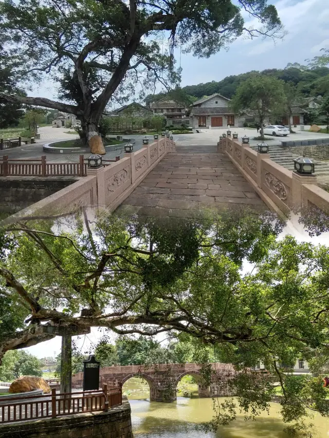 打卡蓮塘古村，人少免門票，已有700年歷史