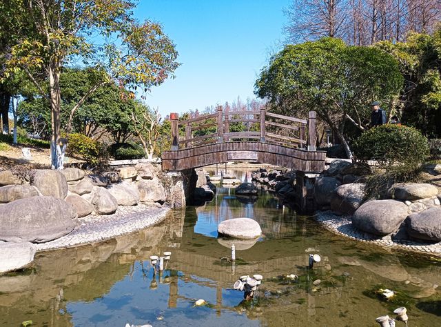 新年新逛蘇州昆山花溪公園