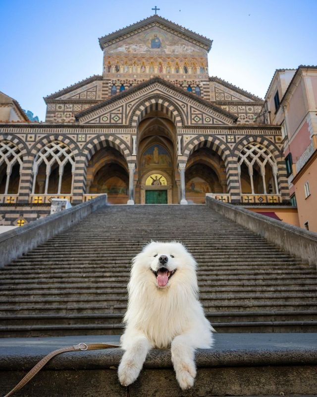 🍕 You wanna pass? Gib 5 treatos! Prepare to be awed by the majestic beauty of Amalfi Coast in Italy.