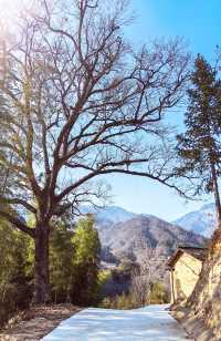 英山大別山