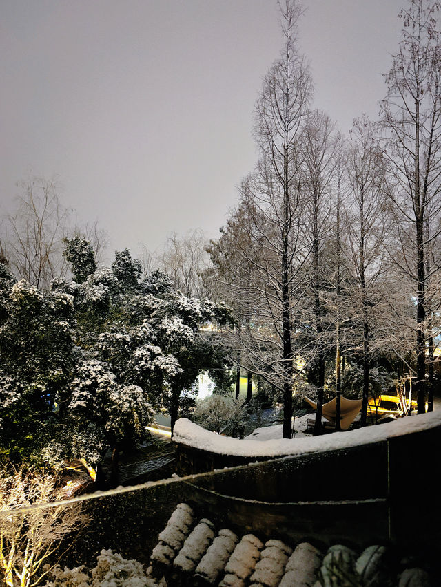 三垟濕地裡新中式酒店，和雪地也太相配了~