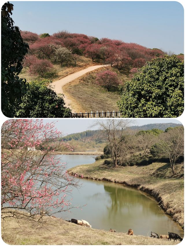 春遊記 沉醉在這一池碧水藍天中