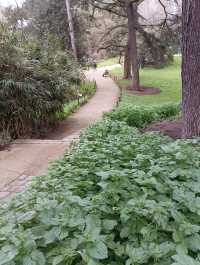 巴黎植物園