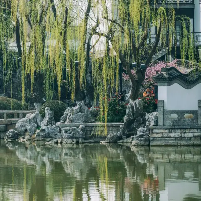 The Nanjing Yuyuan Garden has captured the essence of willows intoxicated by the spring mist, as described in ancient poetry, during the vibrant month of March