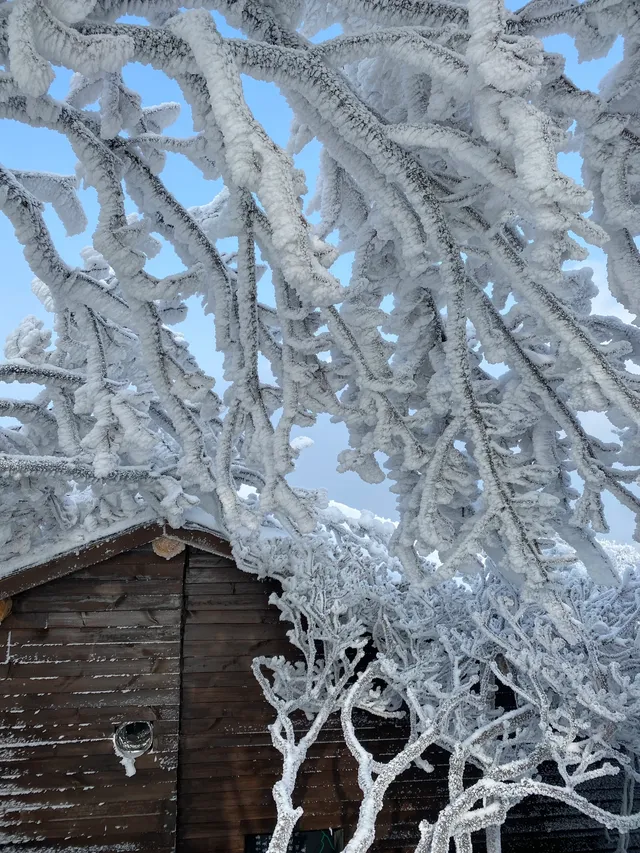 冬天的第一場雪｜我在鸬鳥山看了絕美霧凇