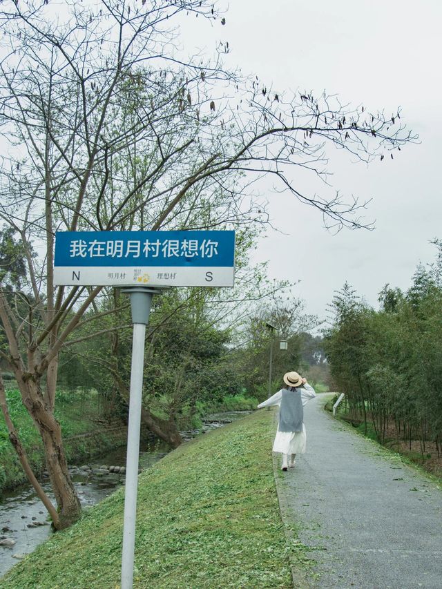 成都周邊｜太愛這個茶園裡開滿櫻花的文藝村