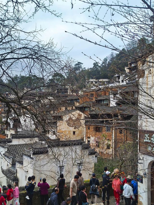 勸退!剛篁嶺旅遊回來，能勸一個是一個