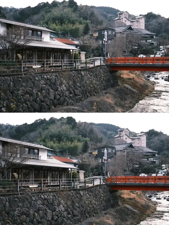 I spent the New Year's holiday abroad at Shuzenji, Japan