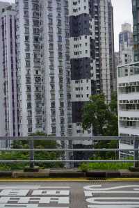 香港pk重慶 魔幻複雜主義街道
