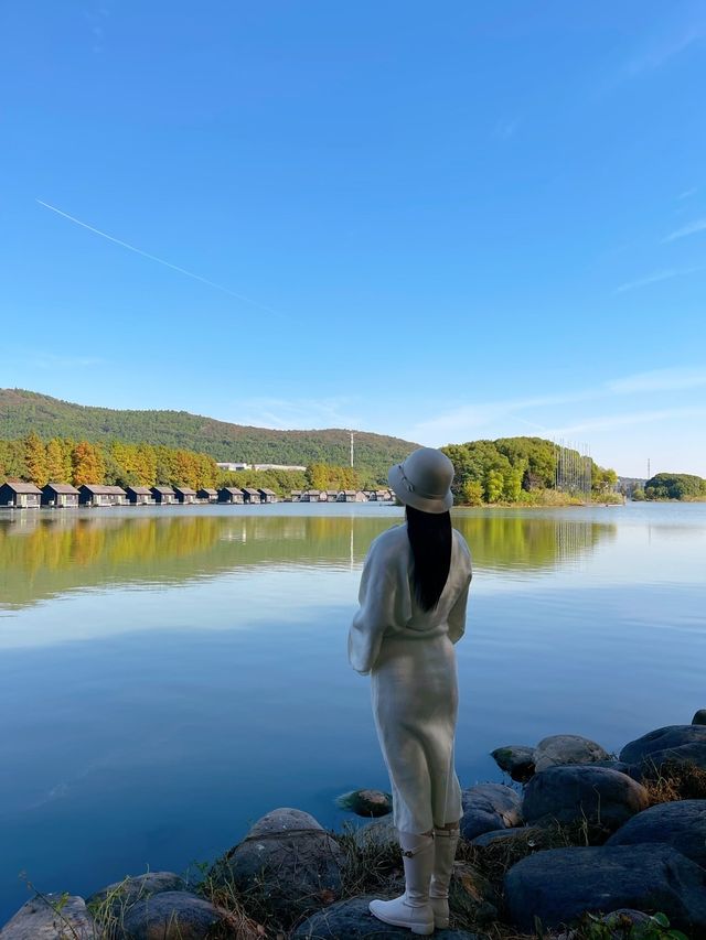 令人心曠神怡的常州太湖灣賞秋