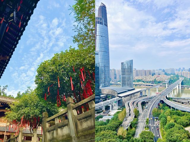 半山崖線步道鬧市裡的森林氧吧
