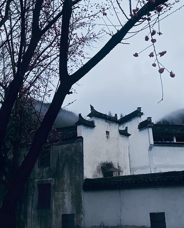 煙雨徽州，西遞古鎮雨中行