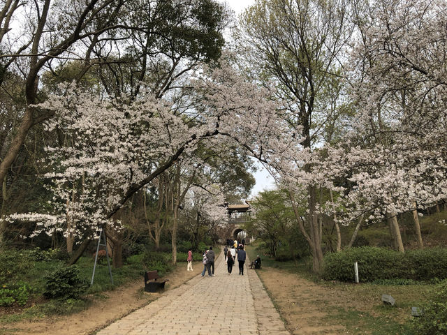 煙花三月 揚州無錫五日遊