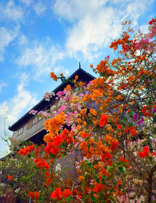 海南一小鎮上的花因「開花太仙」走紅，美得像人間仙境，好治癒