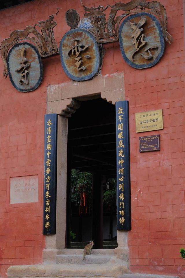 揭秘泸州，古鎮風情與美食天堂的完美融合！