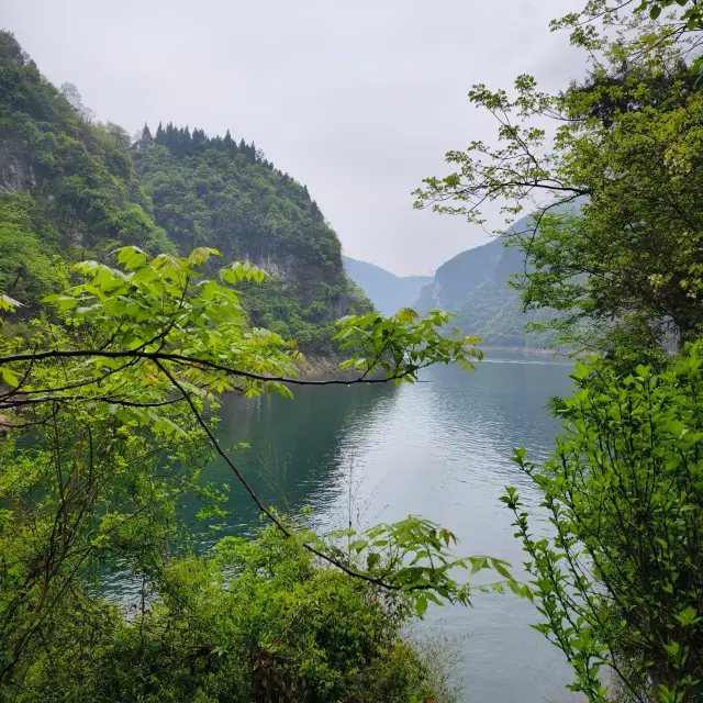 The eight hundred li of Qingjiang River is as picturesque as a painting!