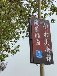 玩轉湛江｜菠蘿的海