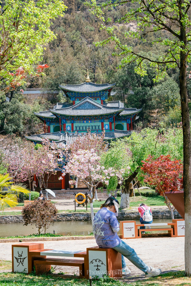 Welcome to the historical and cultural heart of Lijiang's most beautiful park, the Wufenglou of Fuguo Temple🌸.