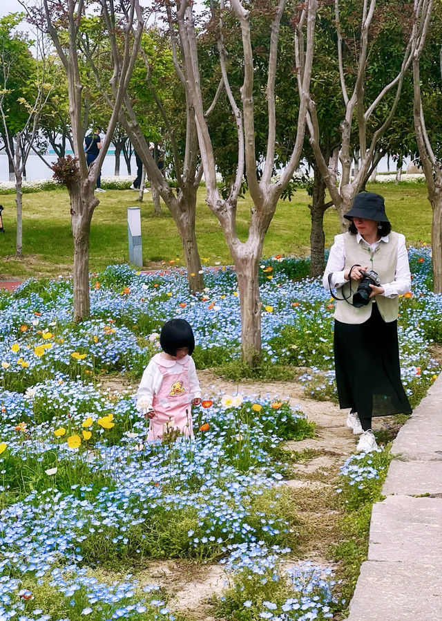 蘇州賞花指南 | 獨墅湖畔遇見四月的春天