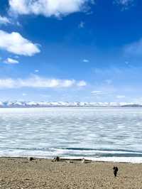 西藏｜納木錯太美了，再不來冰就該融化啦