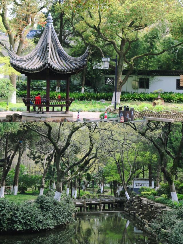 昆山最美春景亭林園