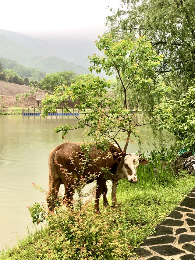 隨州大洪山風景區——珞湖