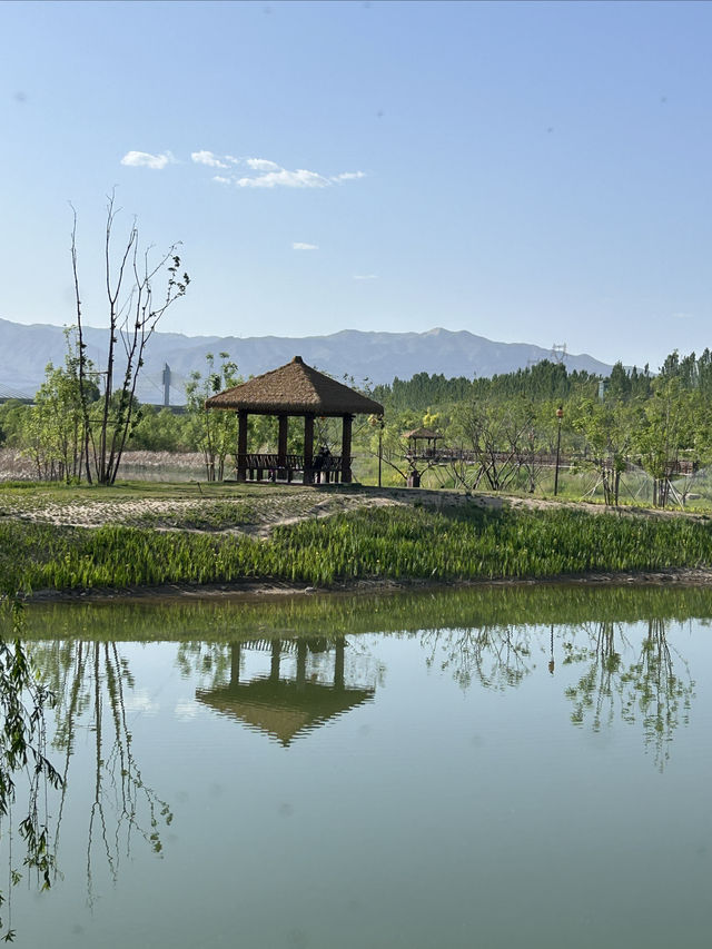 雁丘園｜太原新地標，感受元好問“千古一問”