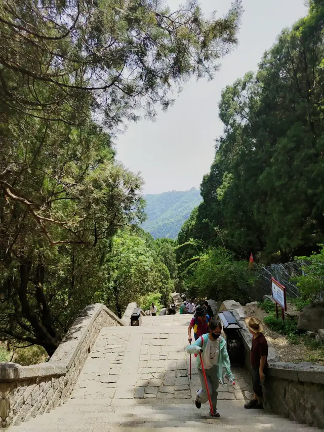 Mount Tai! —— Homestay Edition