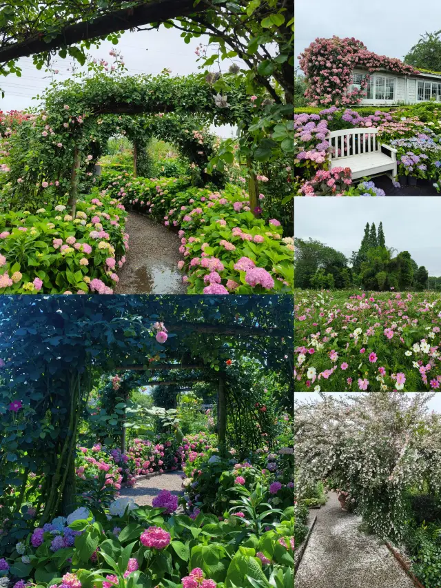 Don't miss this garden in Chengdu, it's incredibly photogenic