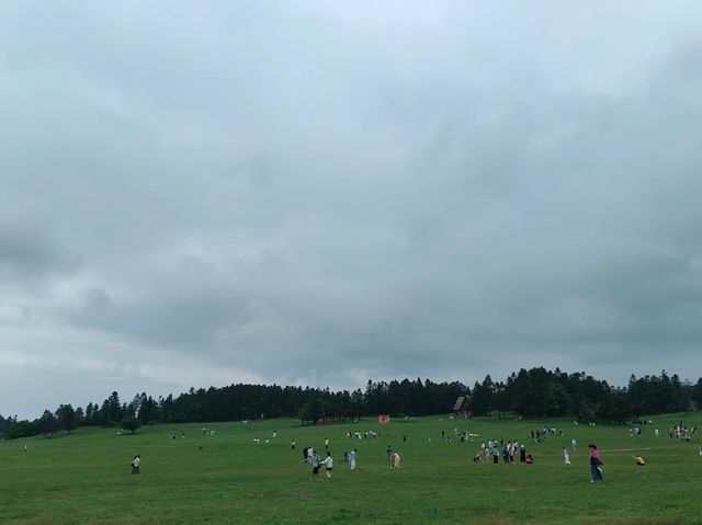 閃避！武隆天生三橋、仙女山