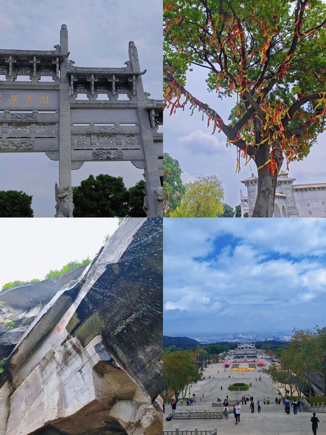 佛山森林探險和孩子玩瘋啦！