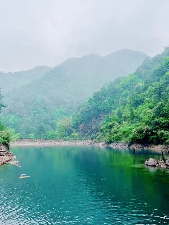 真的不是九寨沟，不是九寨沟去不起而是大奇山國家森林公園更有性