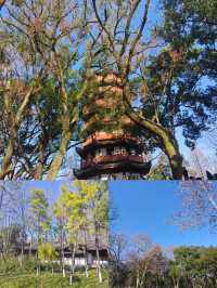 衢州府山公園