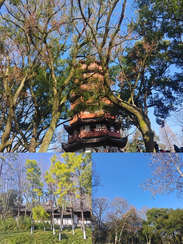 衢州府山公園