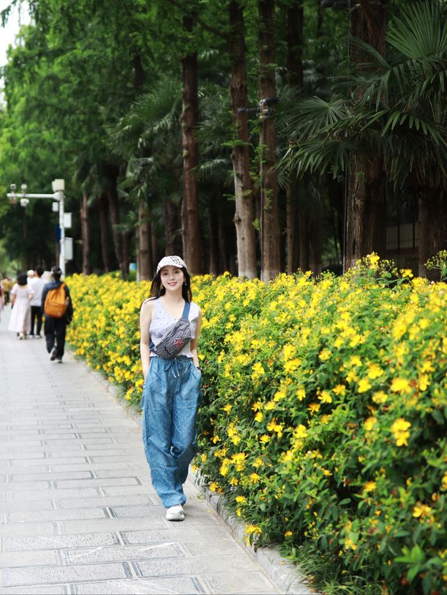 安徽包公園|合肥必打卡，當地人都愛逛的城市公園