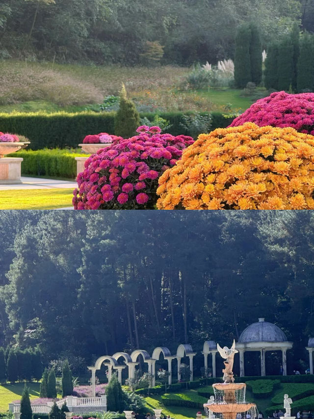 六九福地，武冈云山國家森林公園