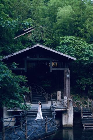 Hidden in the dense forest, listen to the whispering wind at a niche bed and breakfast