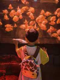 暑假遛娃｜北京海洋館旅行攻略