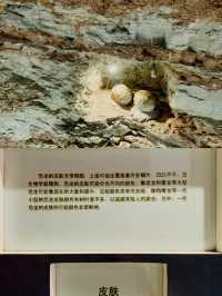 汝陽恐龍地質博物館