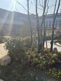 🌟 Sheyang's Serene Stay: Qianhe Lake Hotel Highlights 🌟