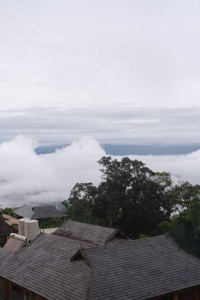 景邁山的勐本村讓我駐足