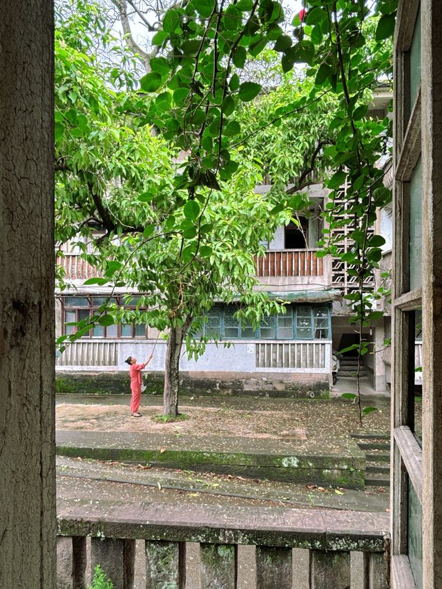重慶 | 陳電村