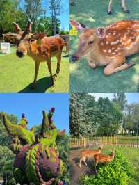 太陽島｜哈爾濱的莫奈花園