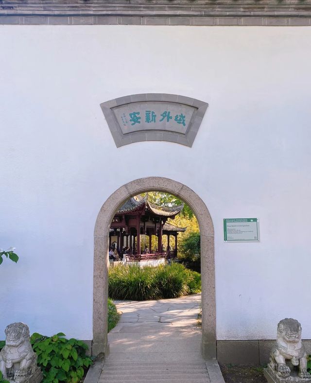 It seems as if I haven't left the country, as I find myself in a Chinese garden in Frankfurt. I am bewildered. 😵